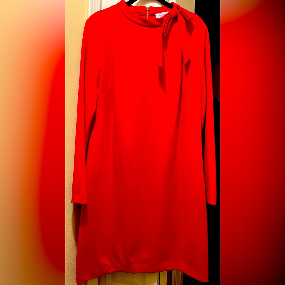 Calvin Klein, Long Sleeve, Knee Length Dress. Only Worn Once. Dry Cleaned.